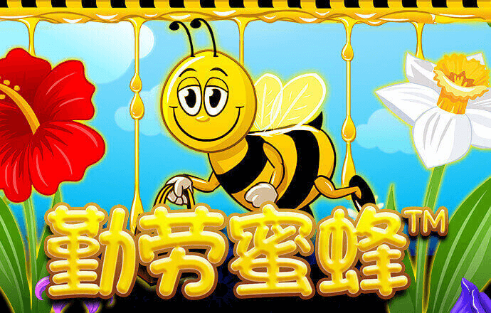 Dafabet官网登录入口