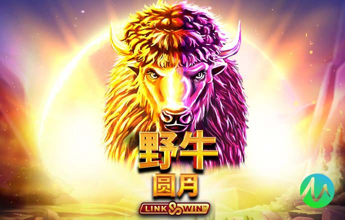 乐游网官方网站入口