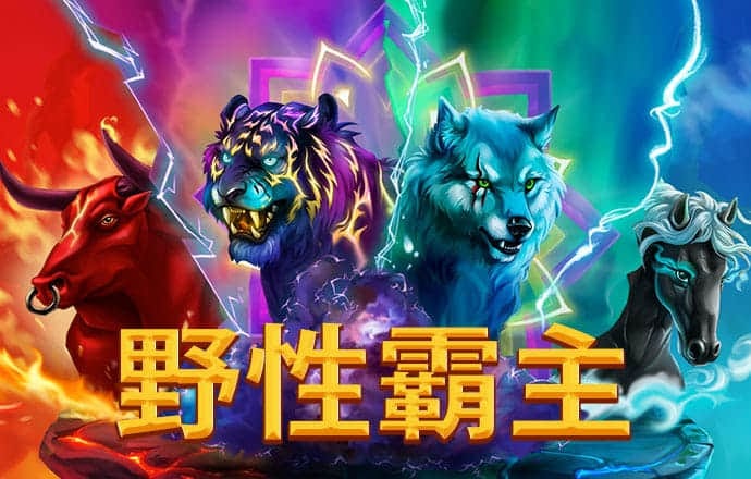 亚搏网app